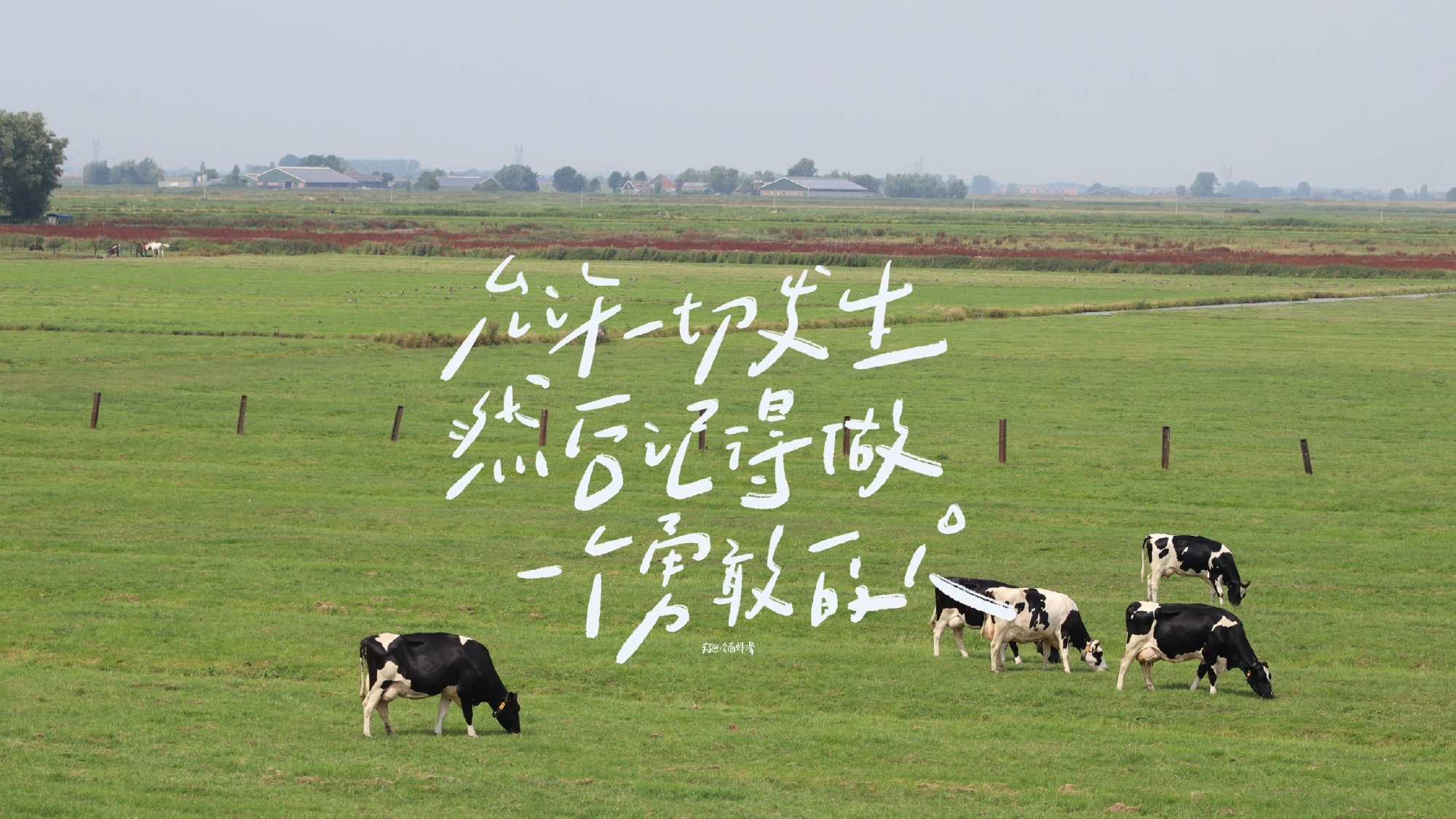 手写-风景.png